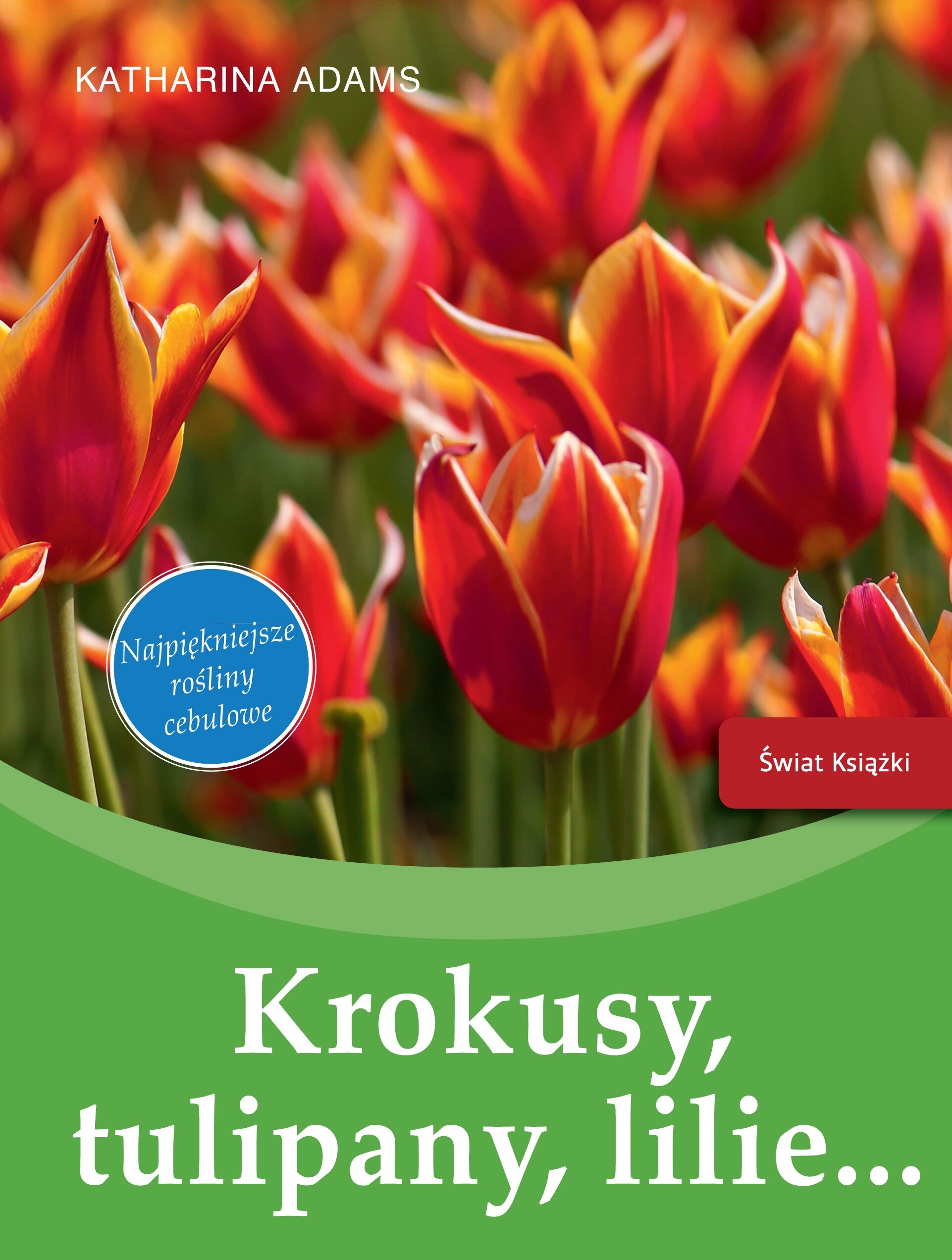 Krokusy, tulipany, lilie..
