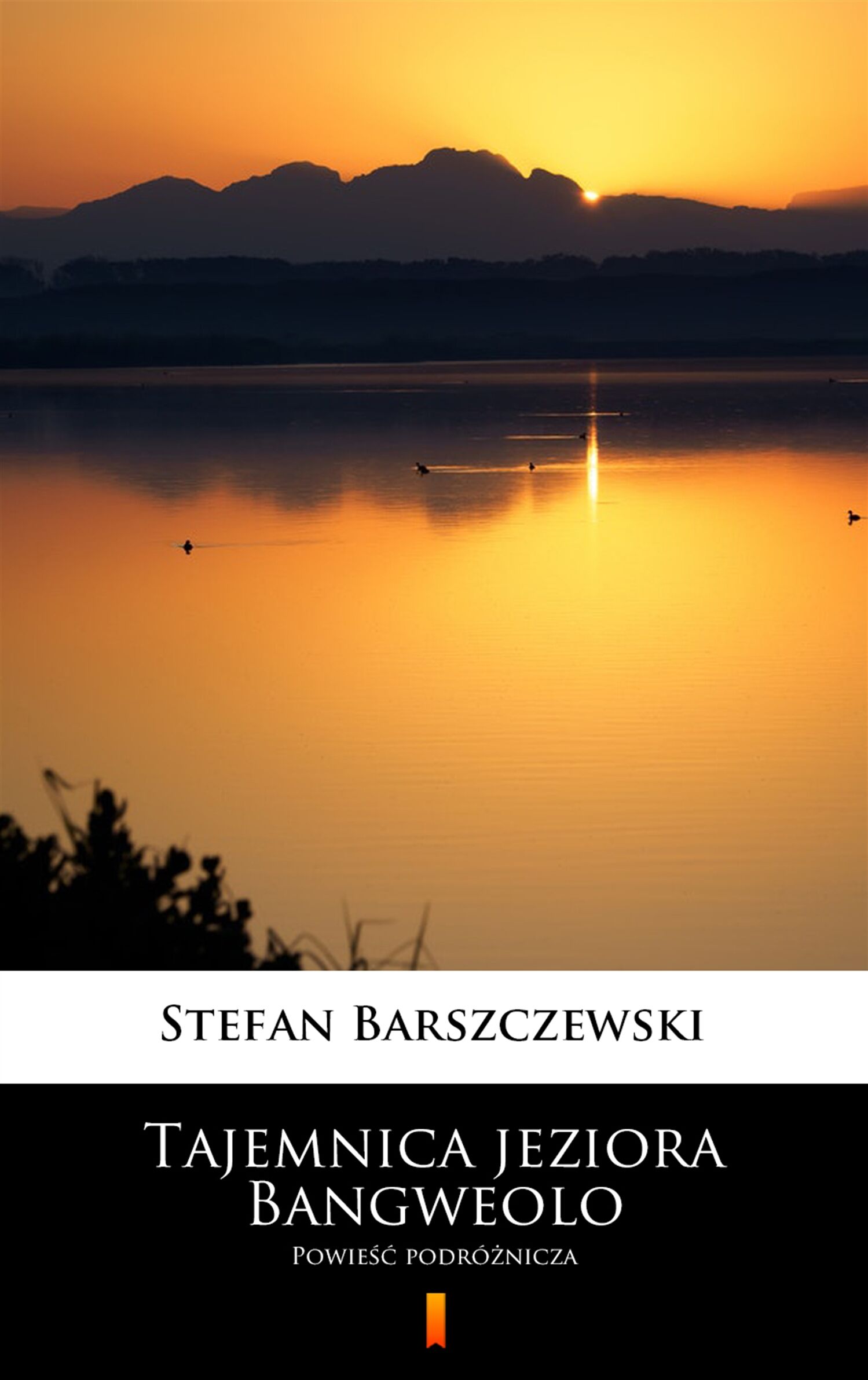 Tajemnica jeziora Bangweolo (e-book)