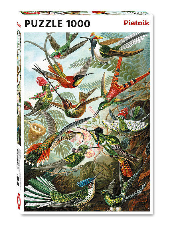 Puzzle 1000 haeckel kolibry