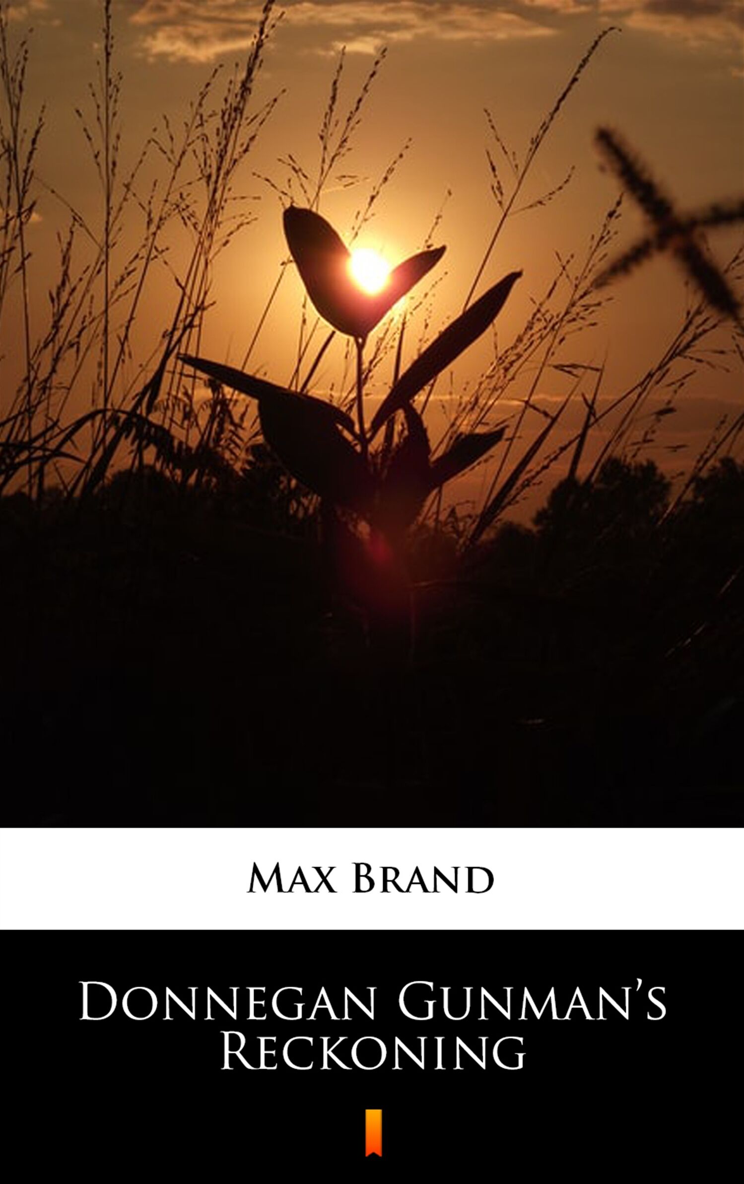 Donnegan Gunman’s Reckoning (e-book)