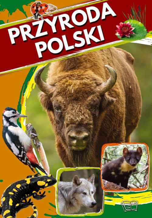 Przyroda polski