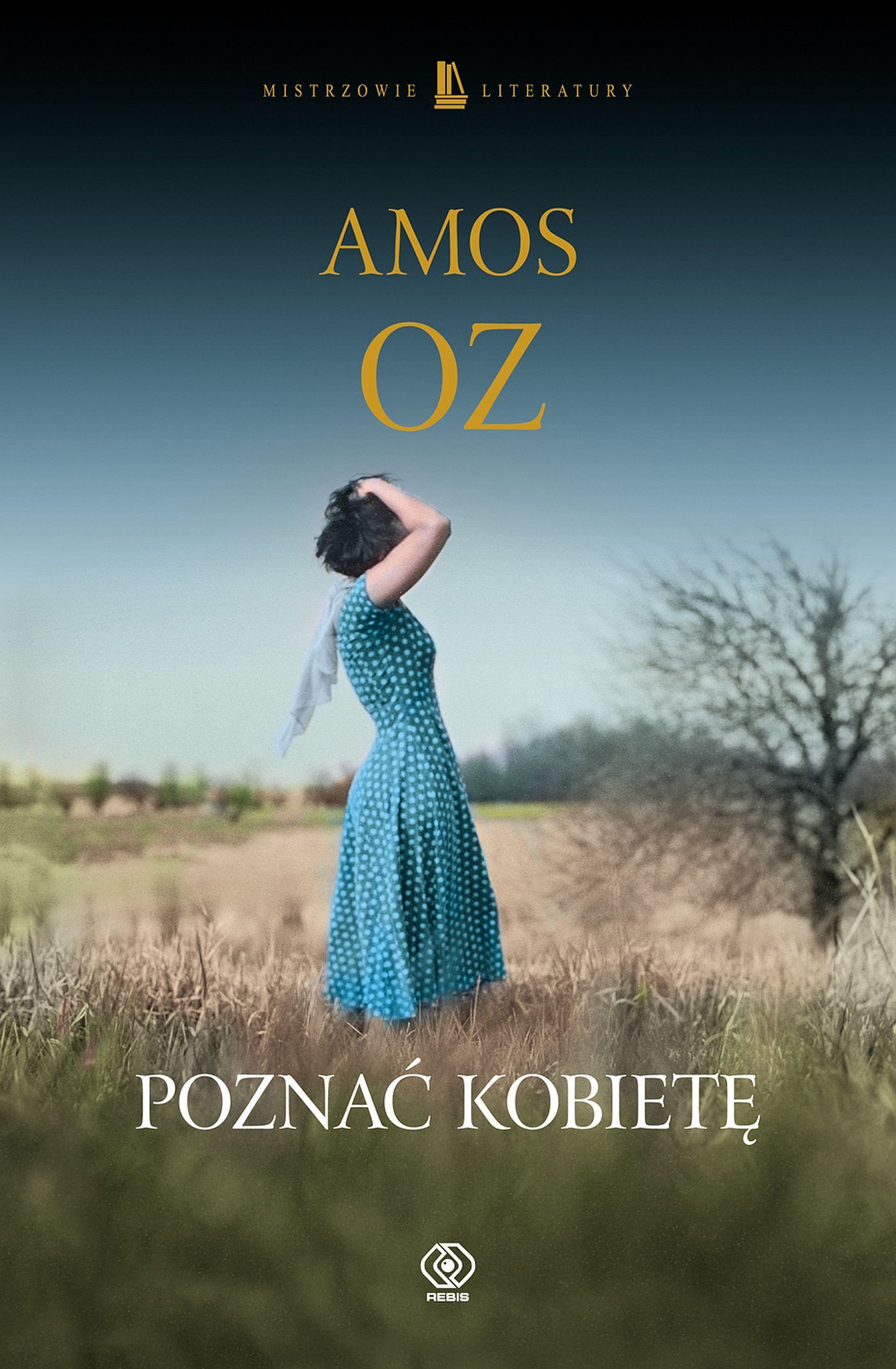Poznać kobietę (e-book)