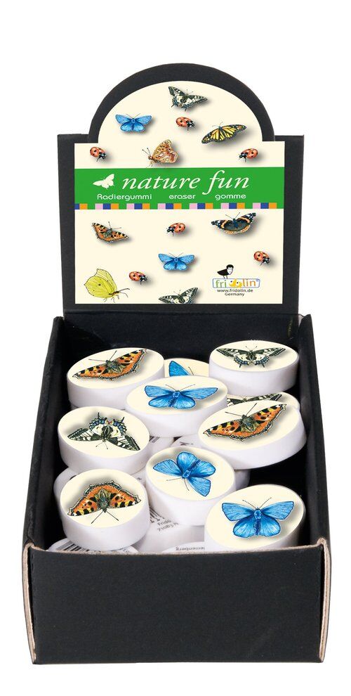 Display, gumki do ścierania "Nature Fun" 60 sztuk