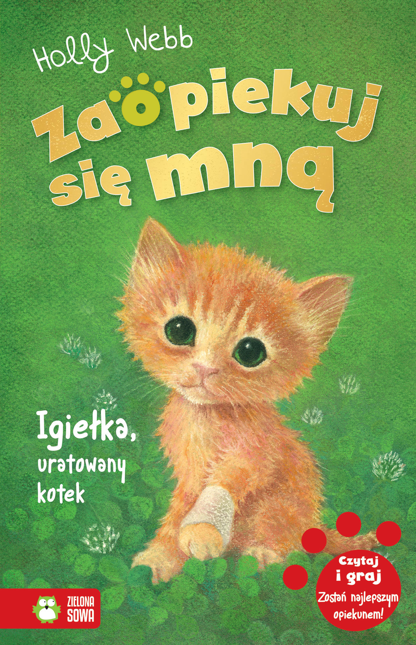 Zaopiekuj się mną. Igiełka, uratowany kotek