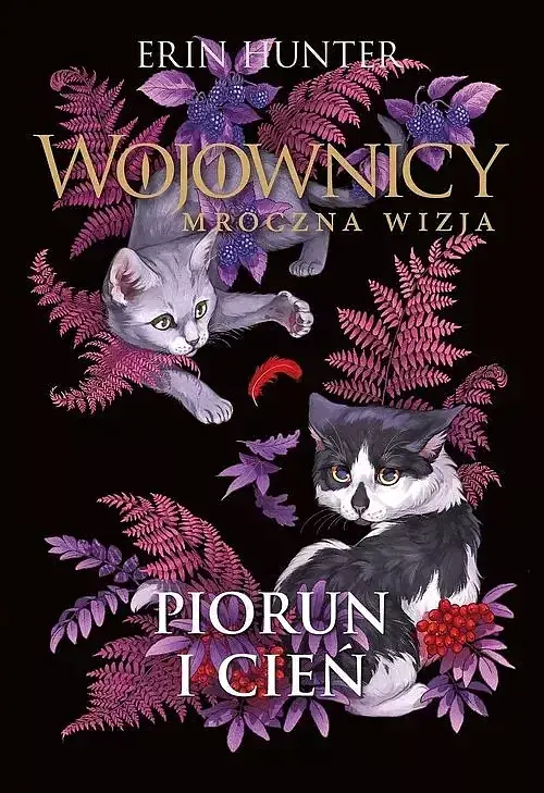 Piorun i cień