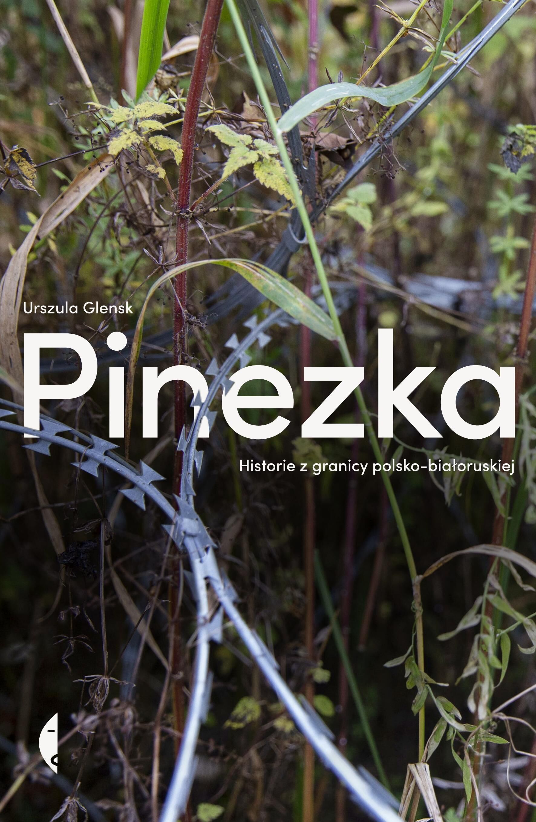 Pinezka (e-book)