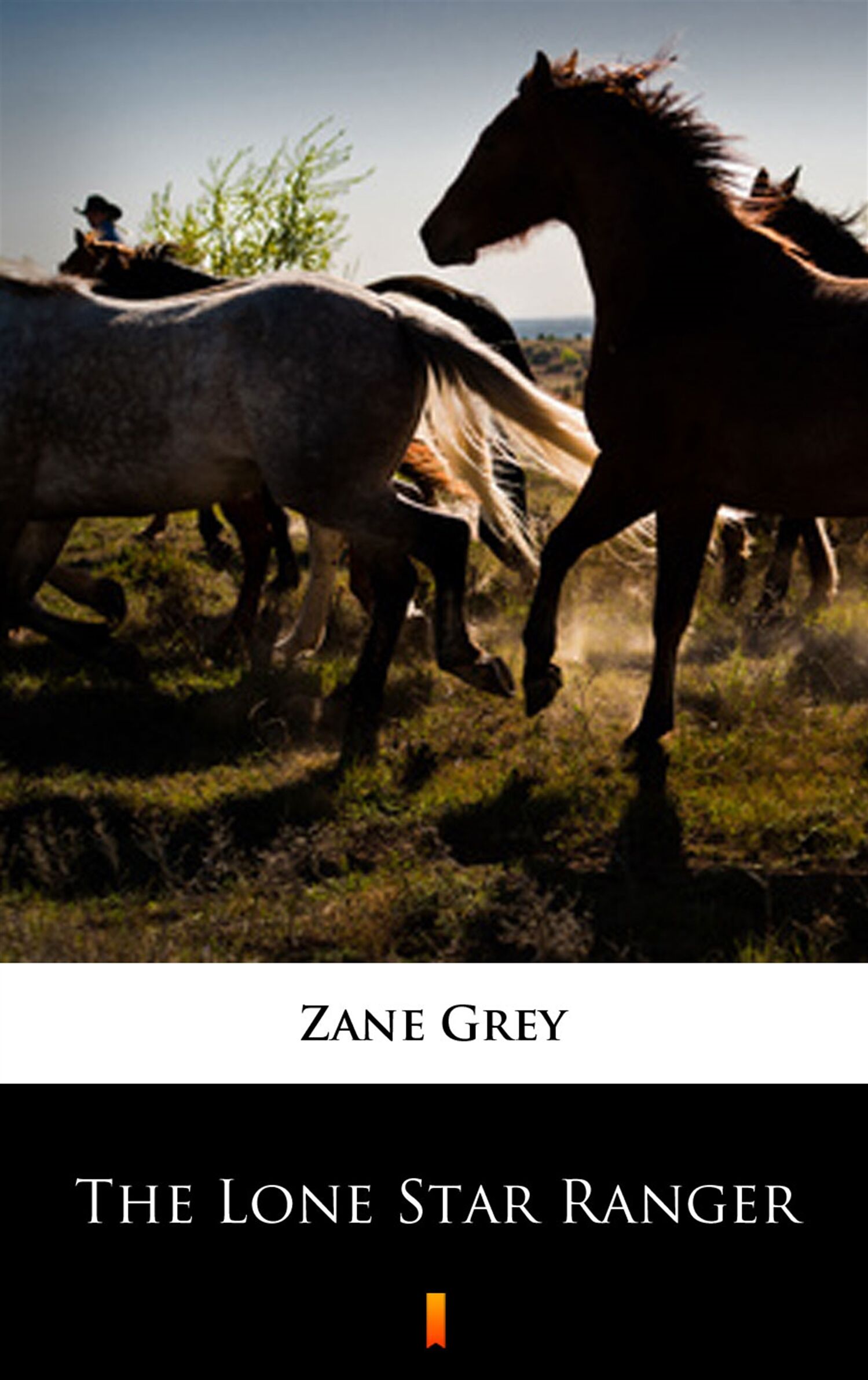 The Lone Star Ranger (e-book)
