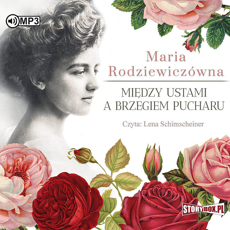 Między ustami a brzegiem pucharu (audiobook CD)
