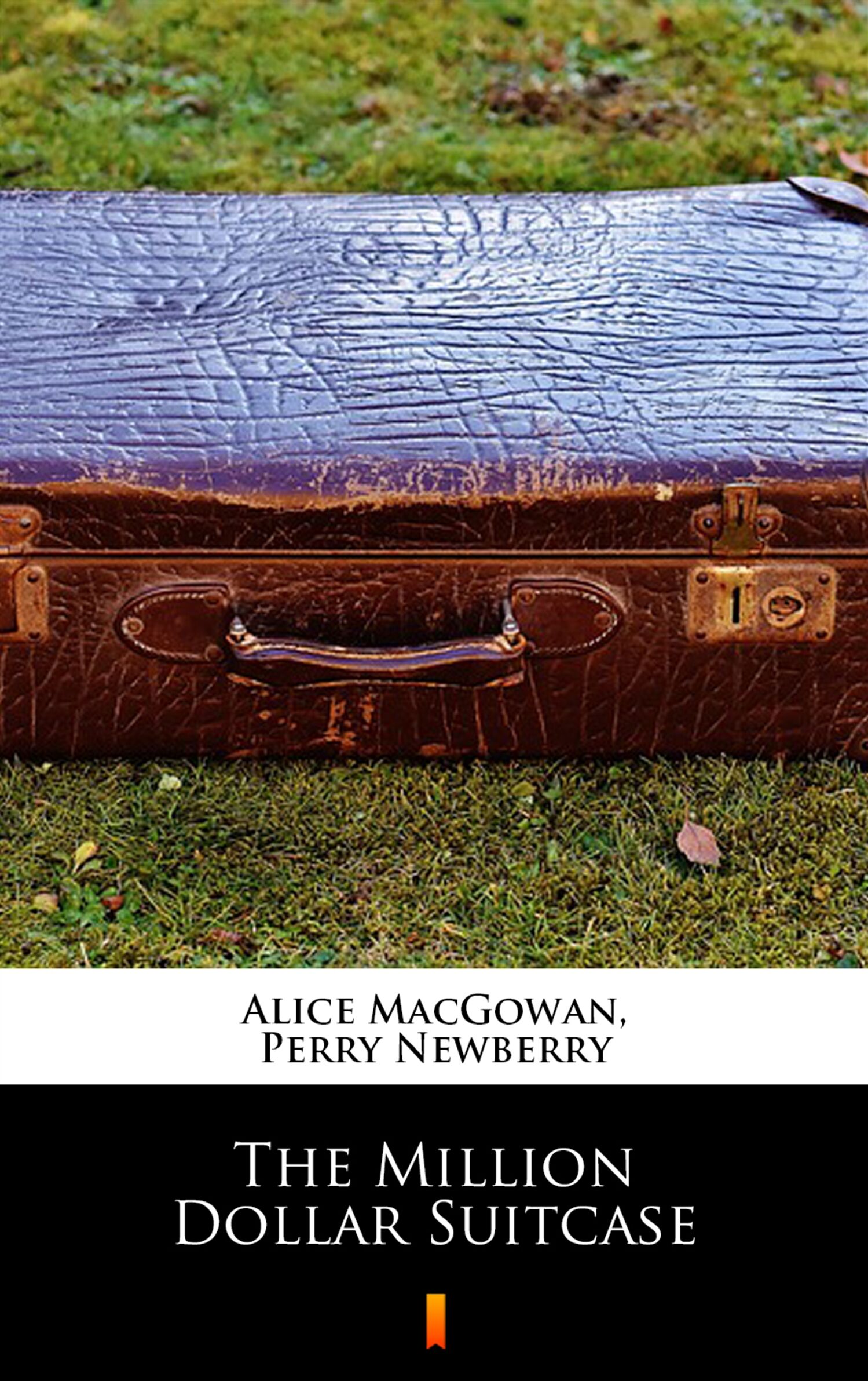 The Million Dollar Suitcase (e-book)