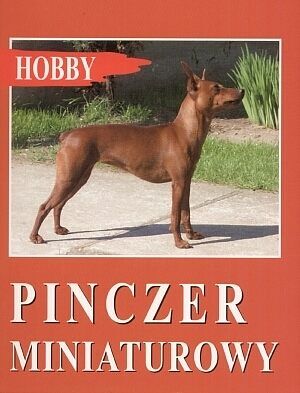 Pinczer miniaturowy