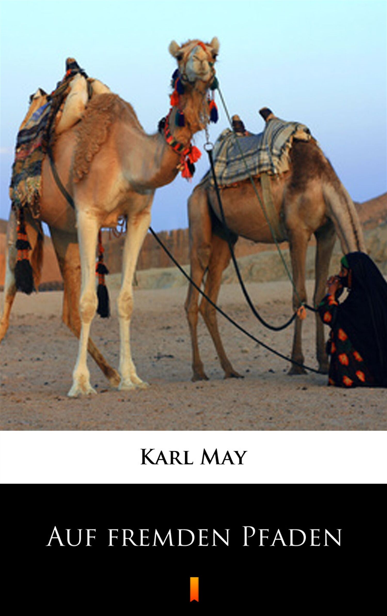 Auf fremden Pfaden (e-book)