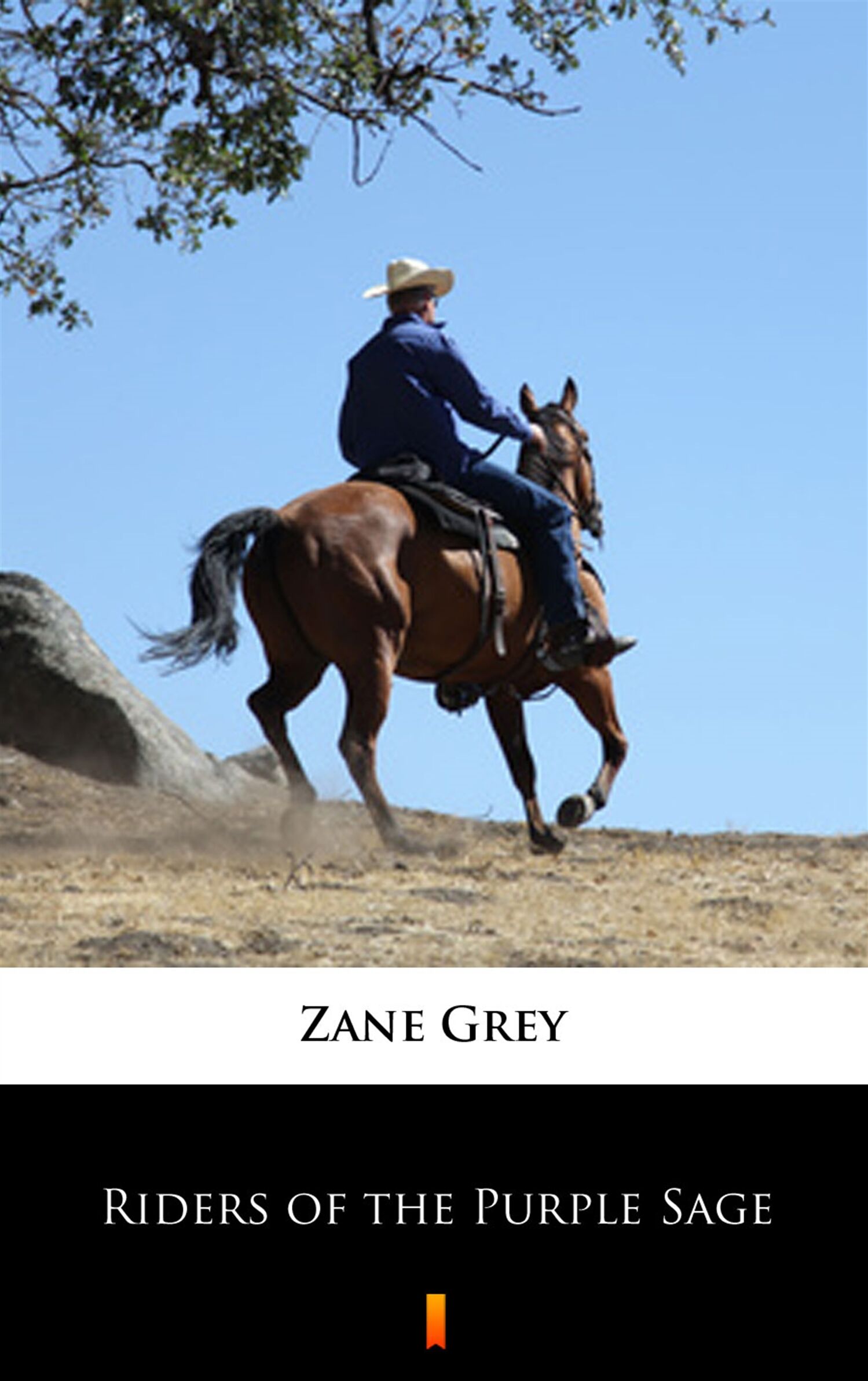 Riders of the Purple Sage (e-book)