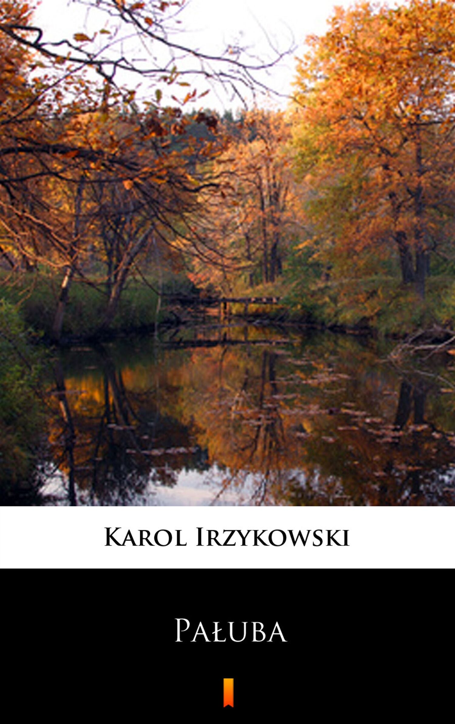 Pałuba (e-book)