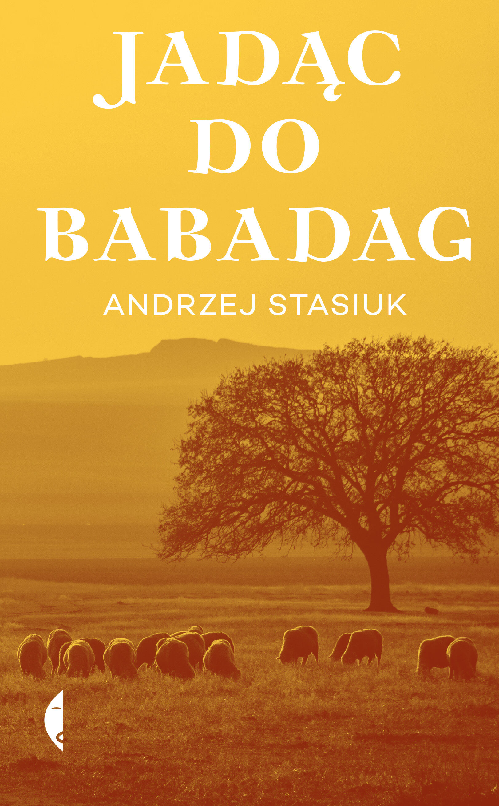 Jadąc do Babadag (e-book)