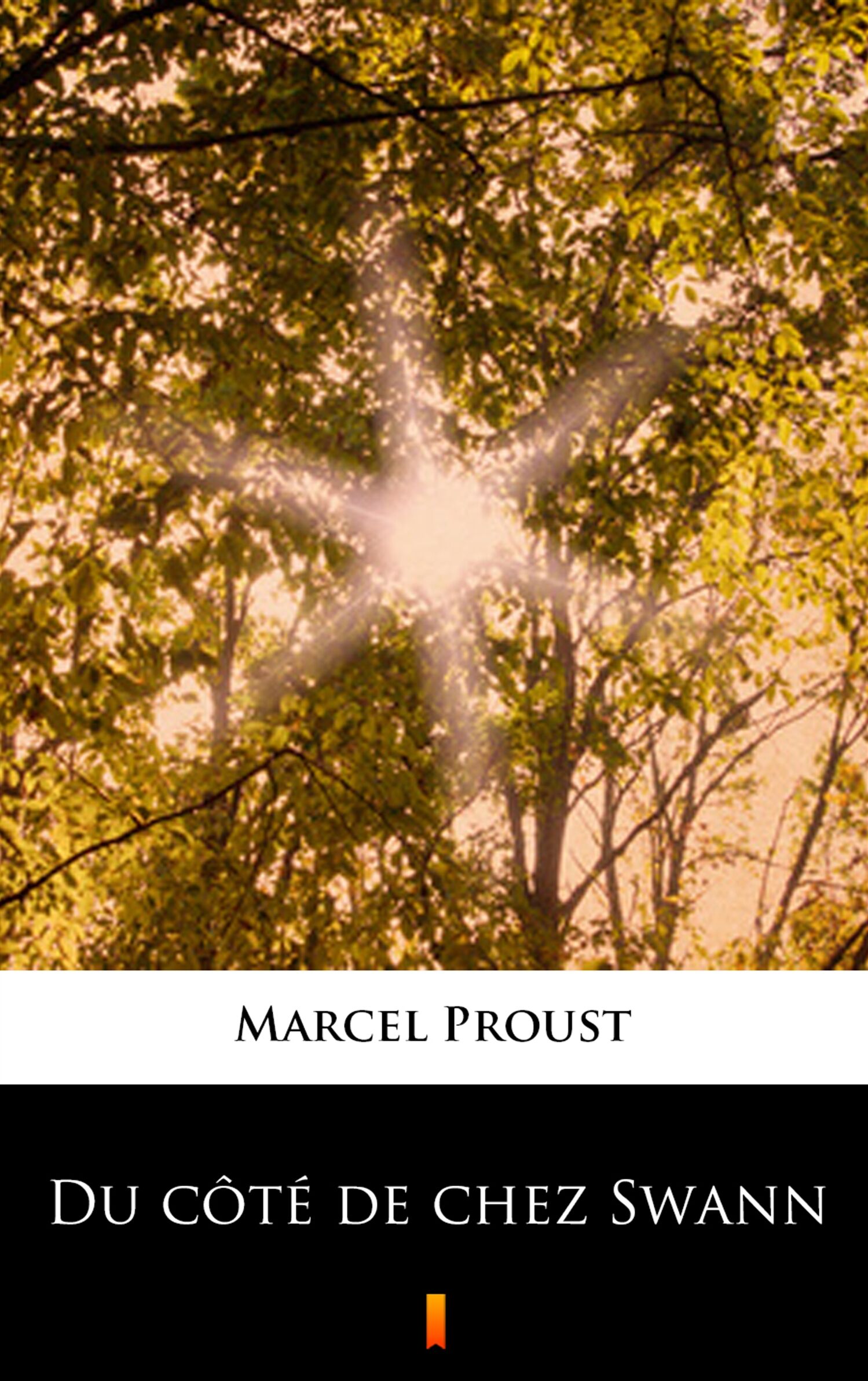 Du côté de chez Swann (e-book)