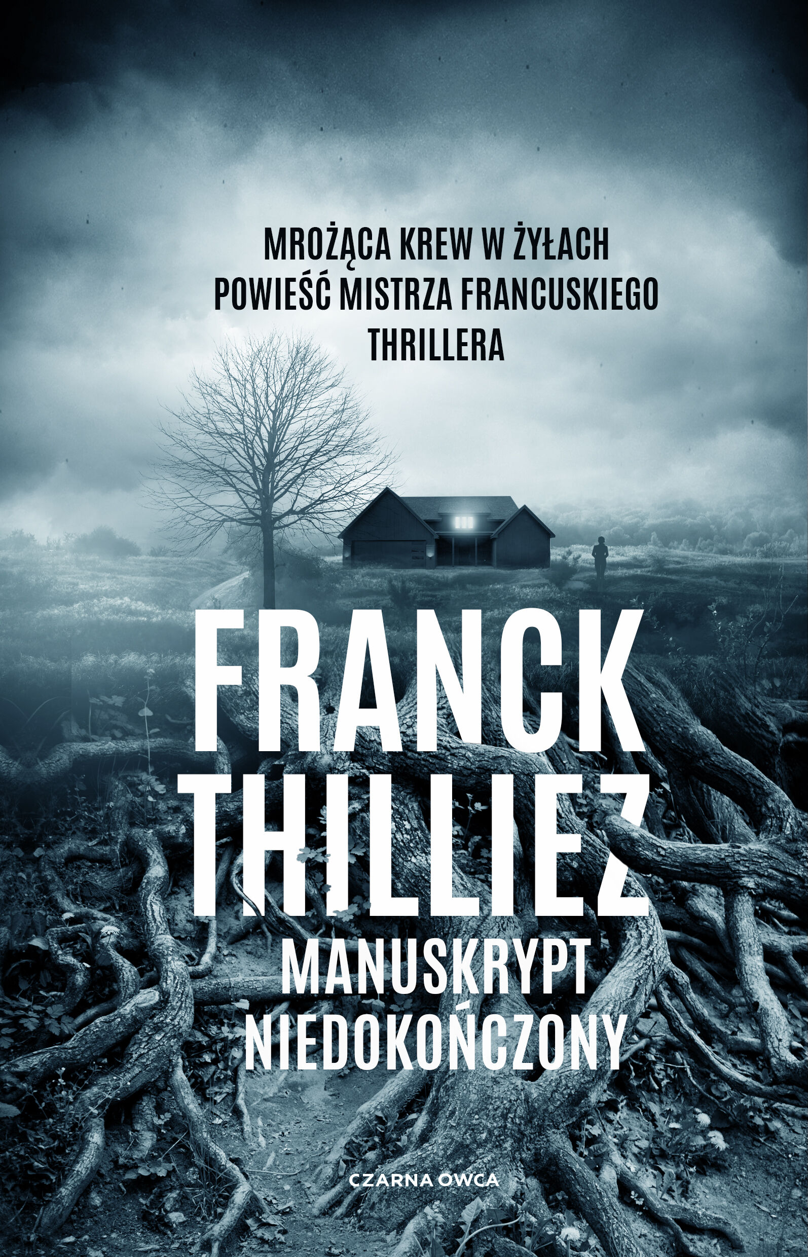 Manuskrypt niedokończony (e-book)