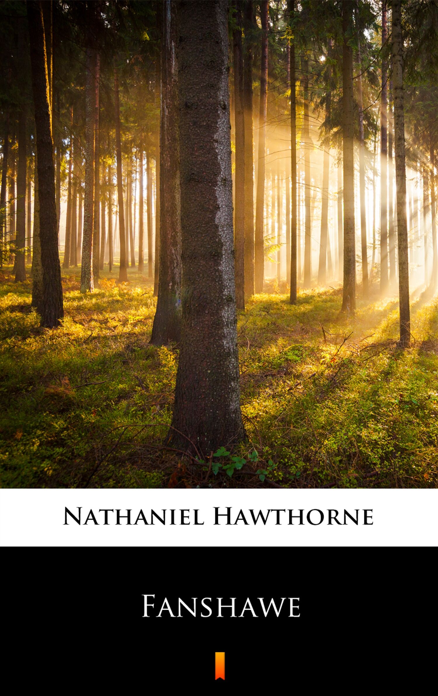 Fanshawe (e-book)