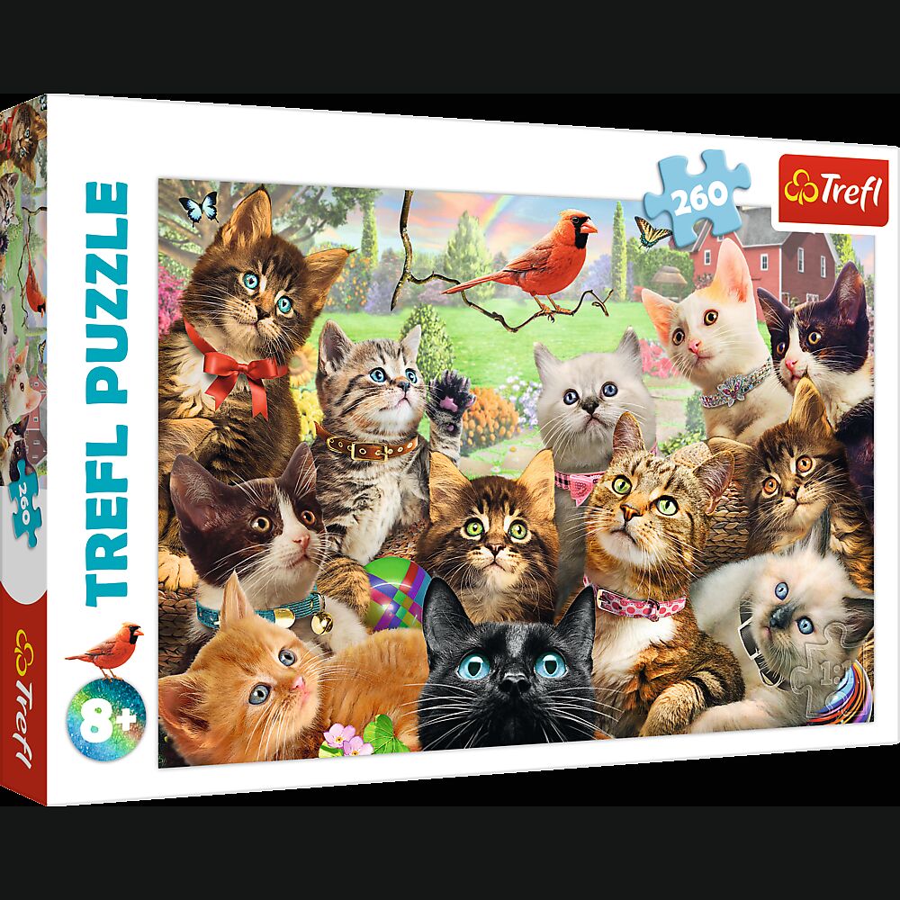 Puzzle 260 Kotki 13241