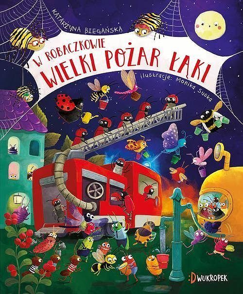 W Robaczkowie. Wielki pożar łąki.