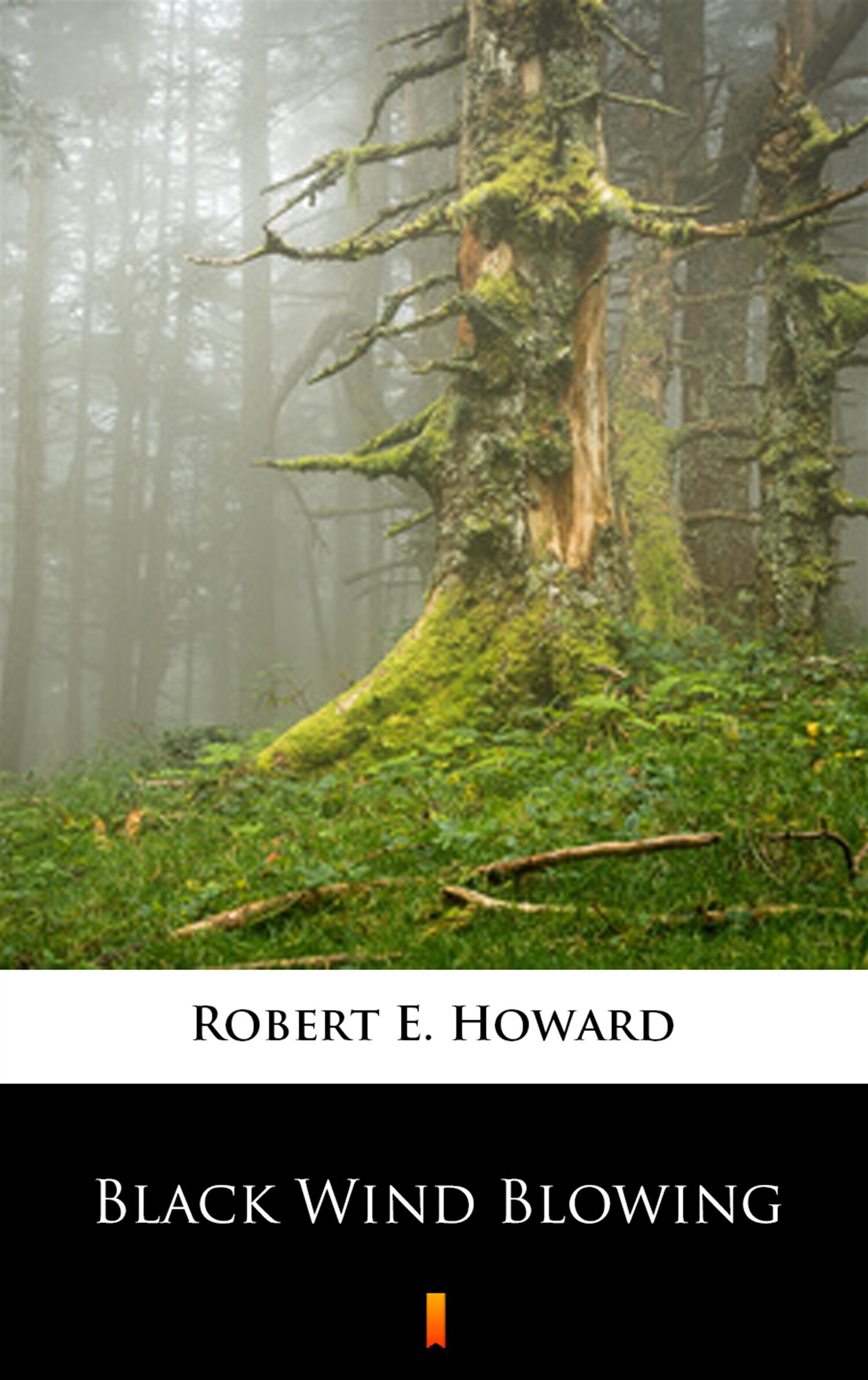 Black Wind Blowing (e-book)
