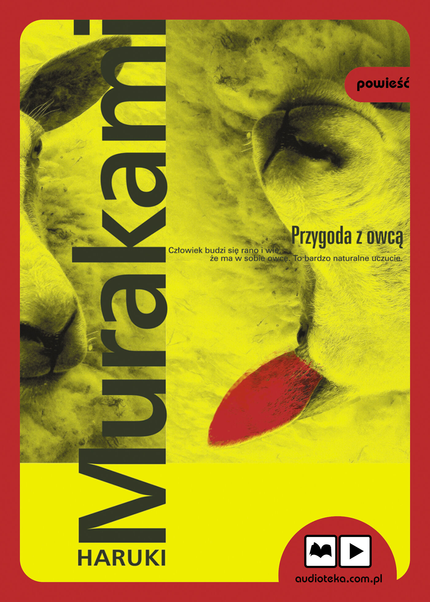 Przygoda z owcą (audiobook) (audiobook CD)