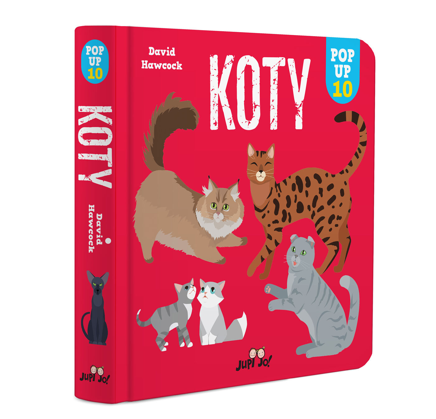 Koty