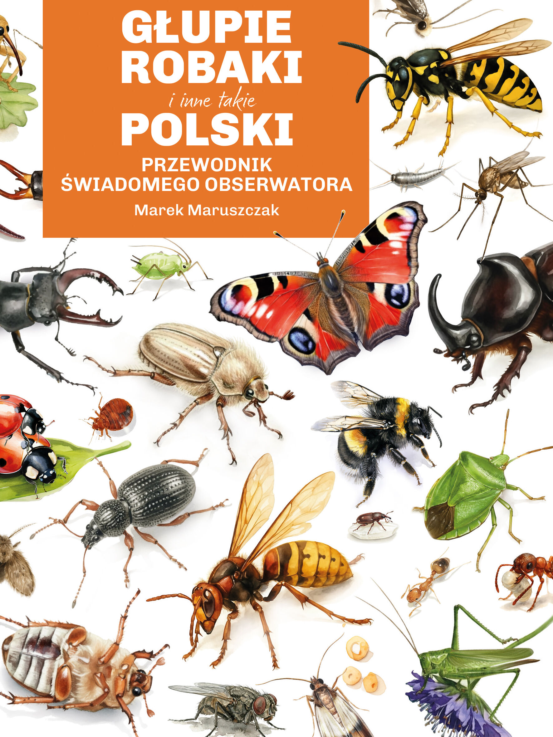 Głupie robaki i inne takie Polski (e-book)