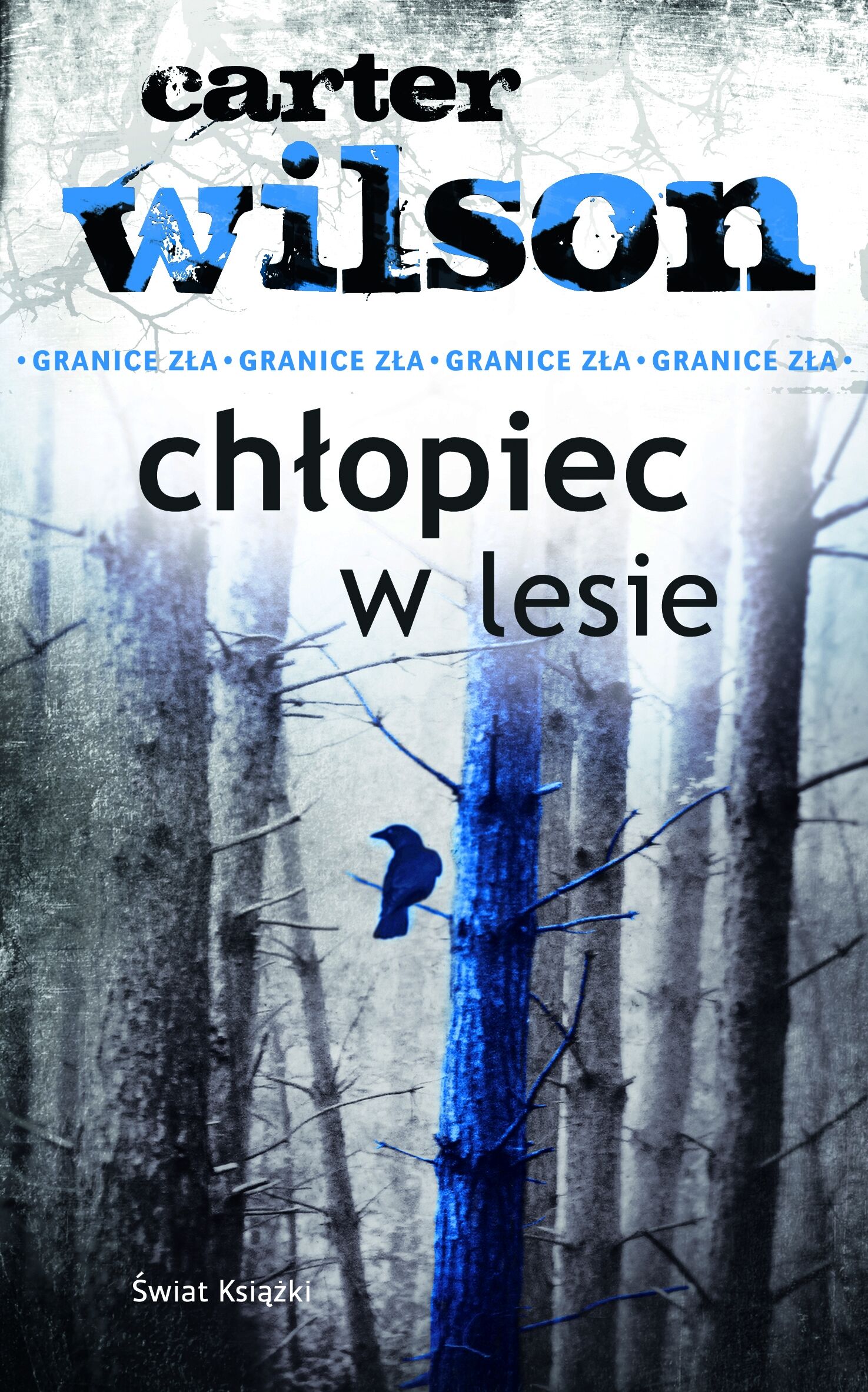 Chłopiec w lesie