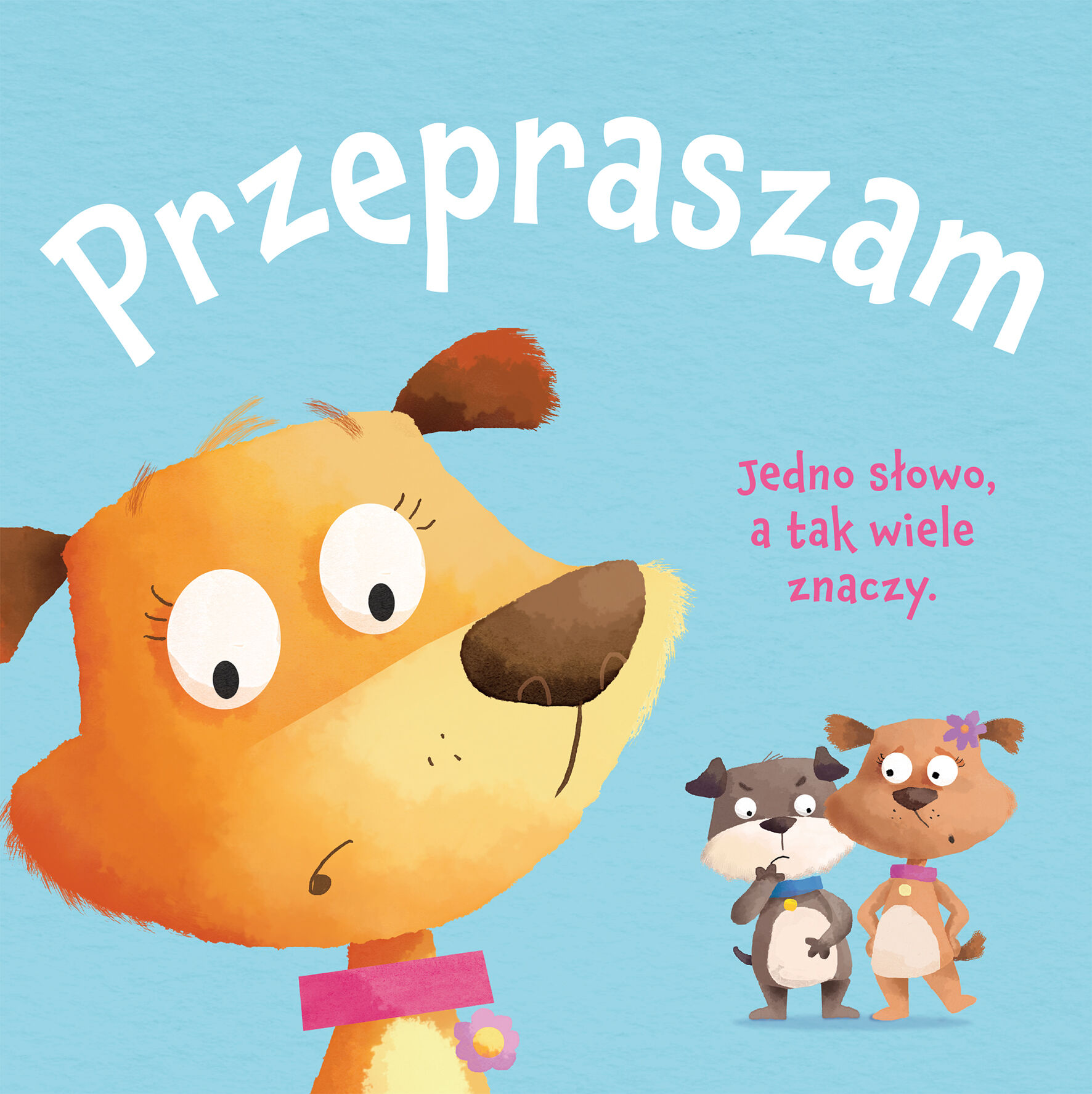 Przepraszam księga dobrych manier