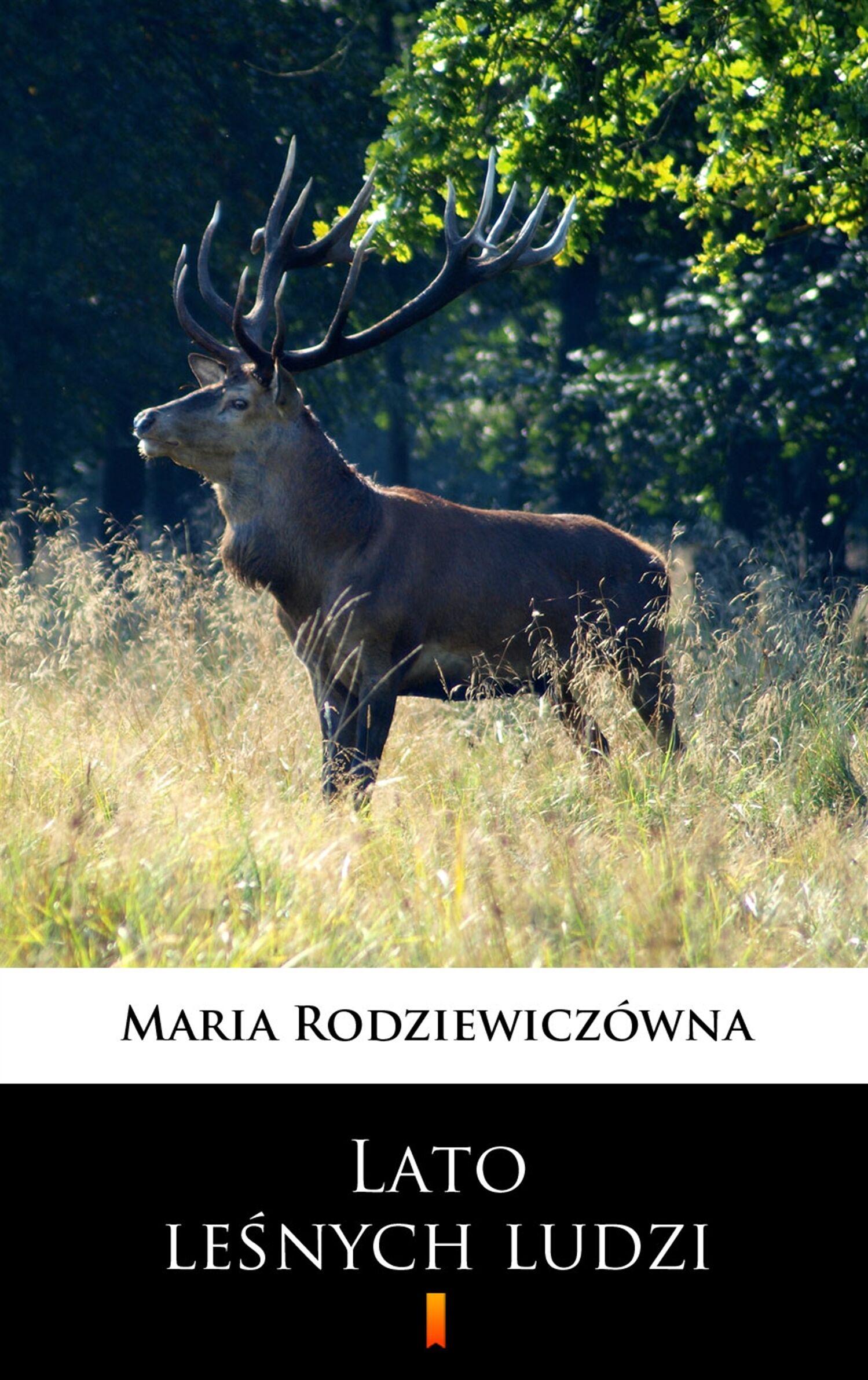 Lato leśnych ludzi (e-book)