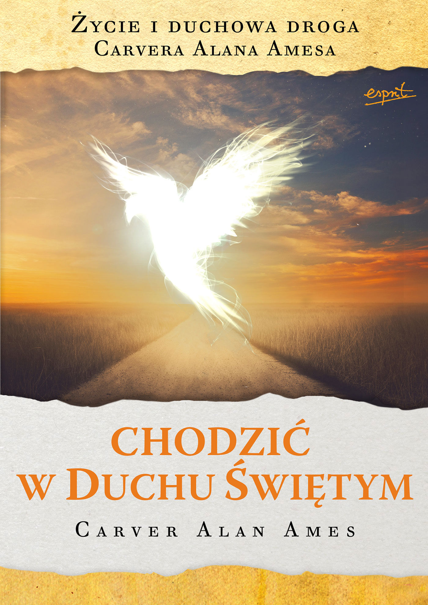 Chodzić w Duchu Świętym (e-book)