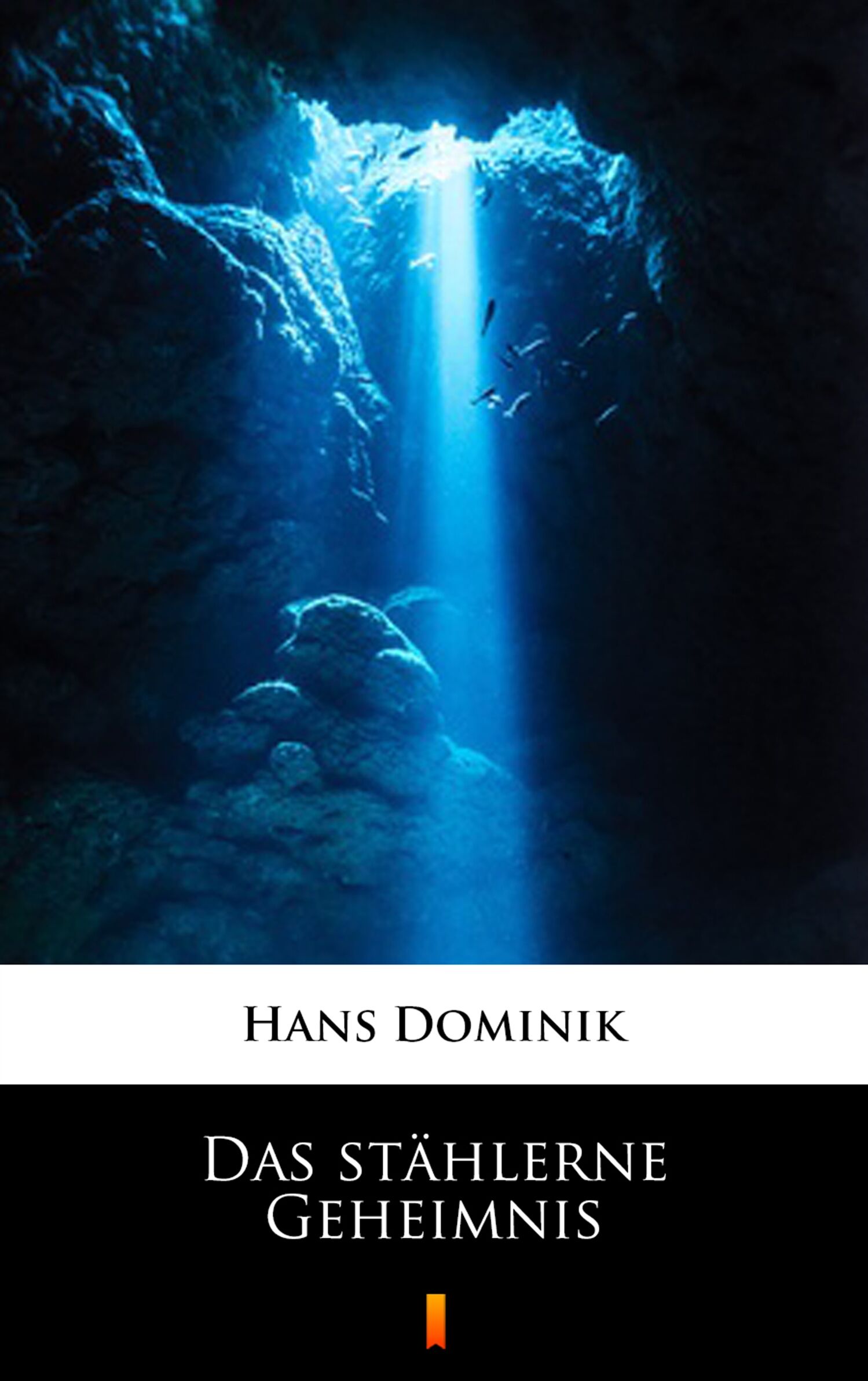 Das stählerne Geheimnis (e-book)