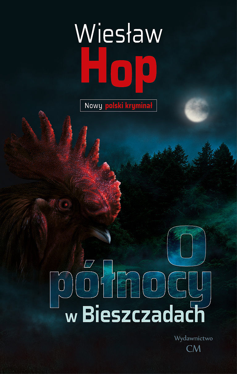 O północy w bieszczadach