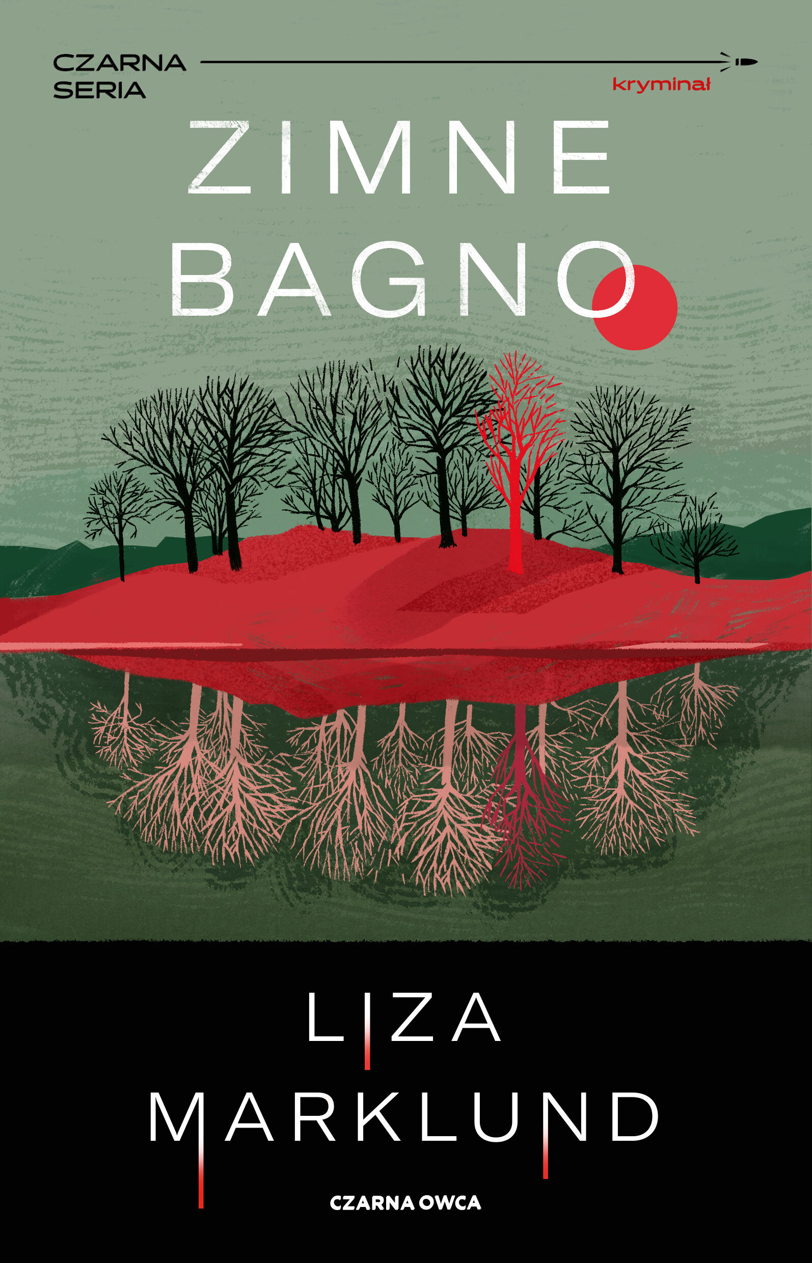 Zimne bagno (e-book)