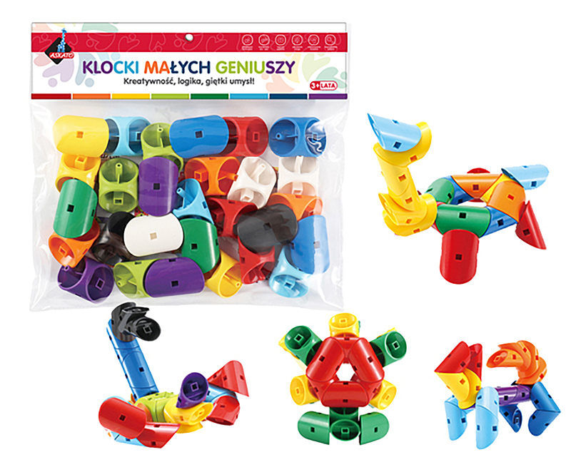 Klocki małych geniuszy kształtki 28 elementów 102221