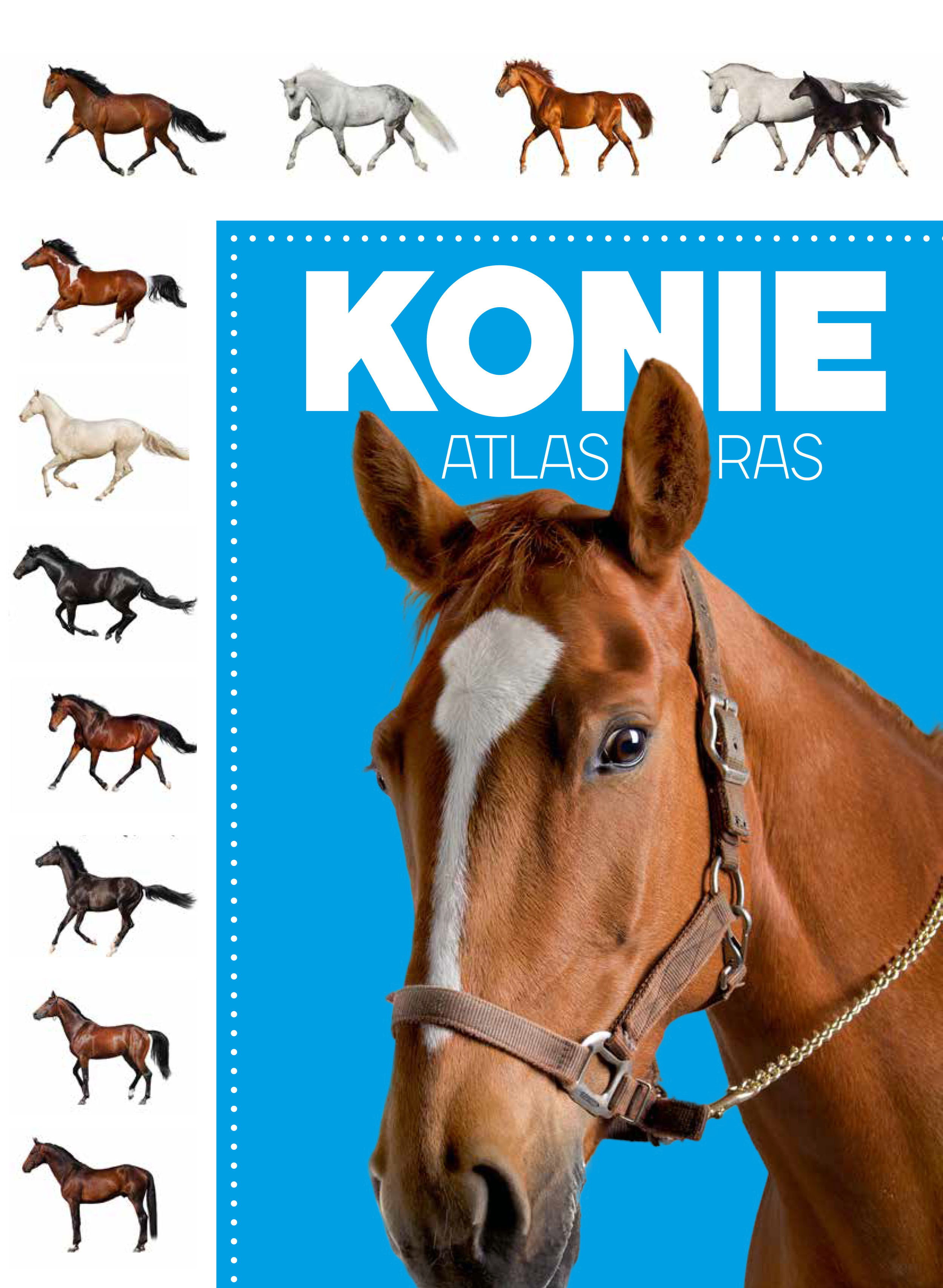 Atlas ras. Konie