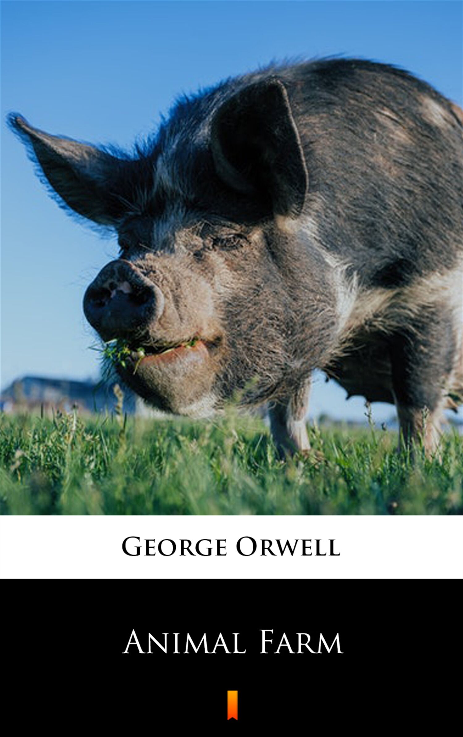 Animal Farm (e-book)