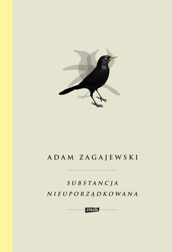 Substancja nieuporządkowana (e-book)