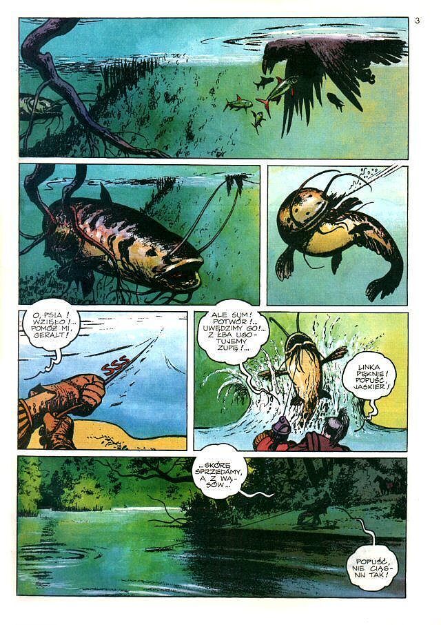 Komiks - 30 - (2/1994) Wiedźmin: Ostatnie życzenie