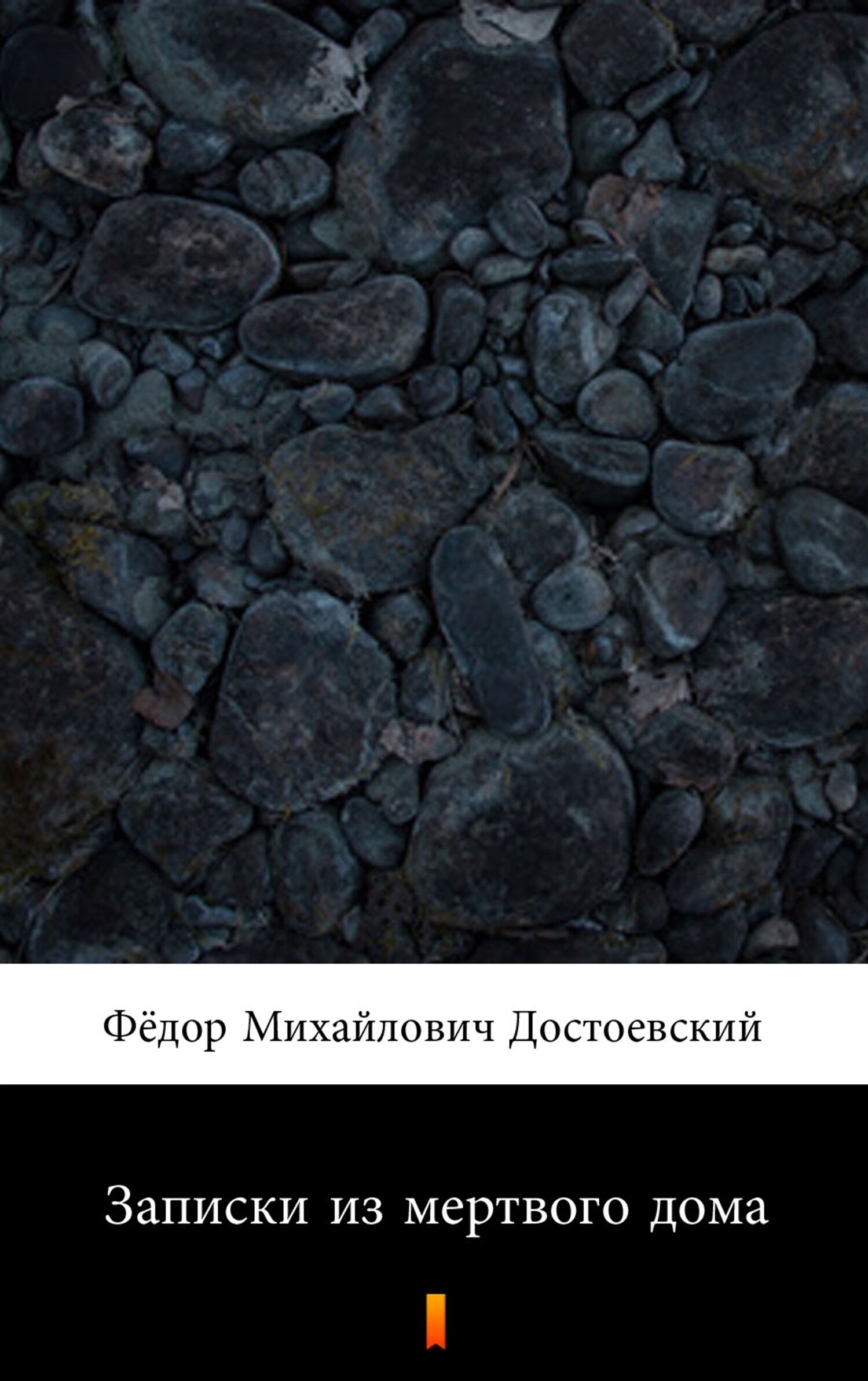 Записки из мертвого дома (Wspomnienia z domu umarłych) (e-book)