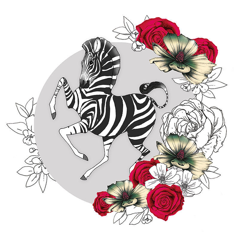 Karnet swarovski kwadrat cl1425 zebra kwiaty