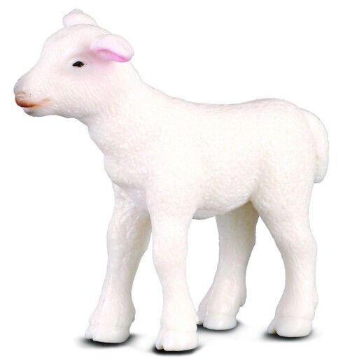 Jagnię