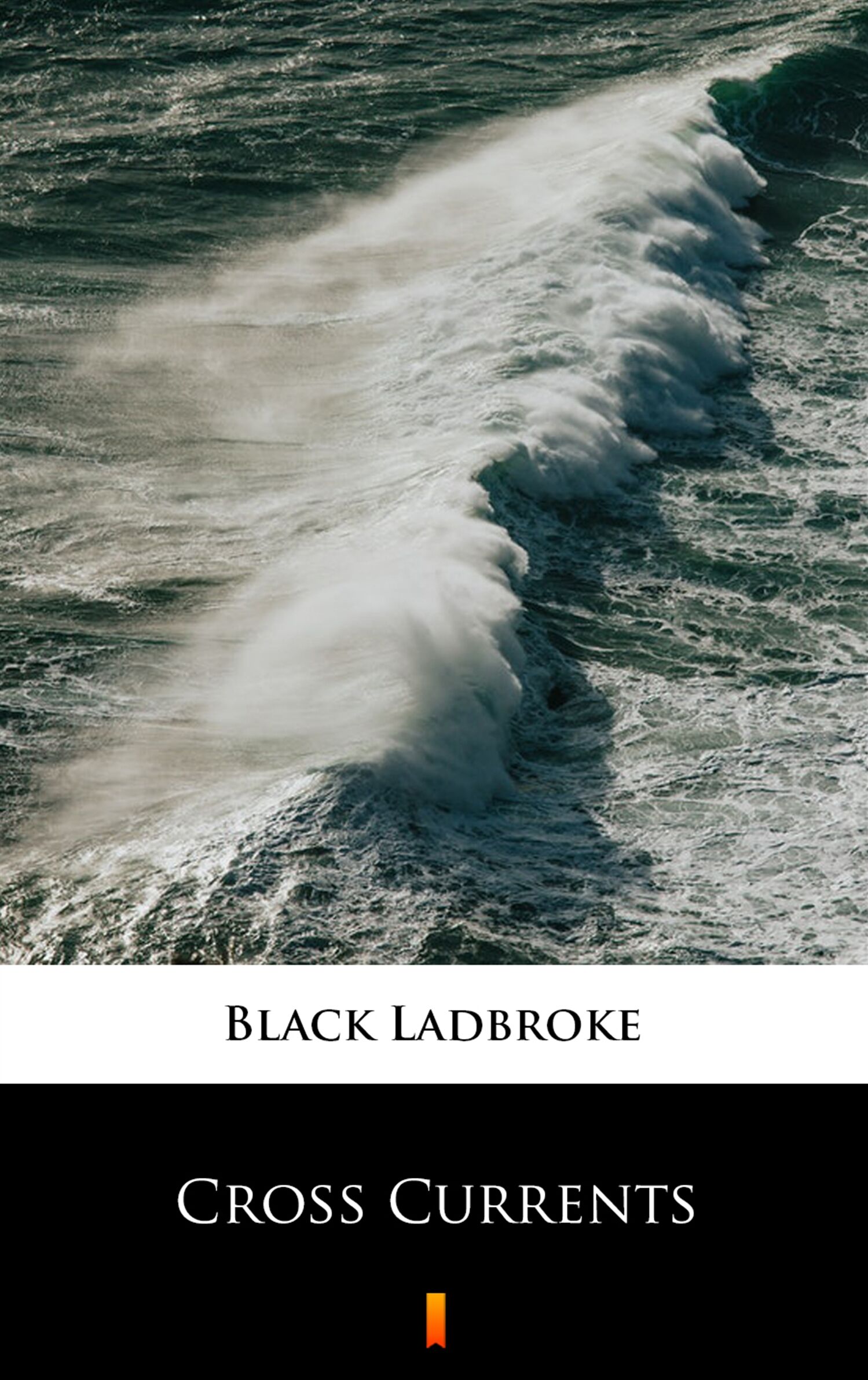 Cross Currents (e-book)