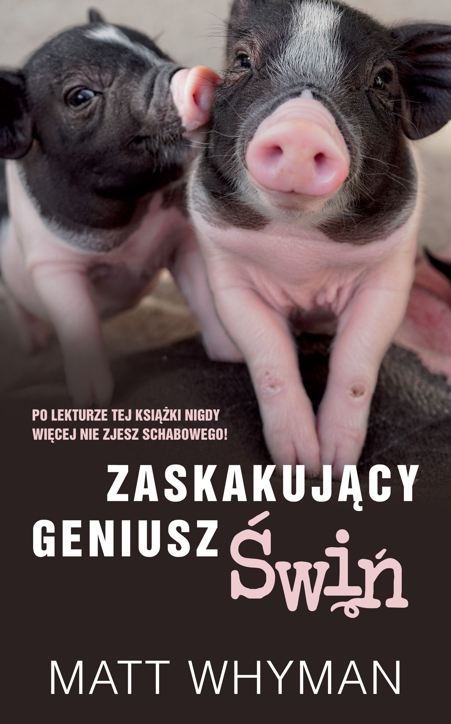Zaskakujacy geniusz świń