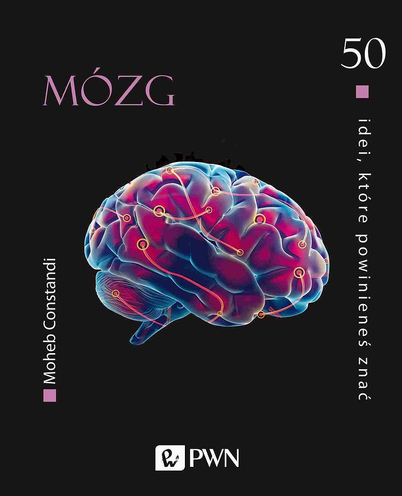 50 idei, które powinieneś znać. Mózg