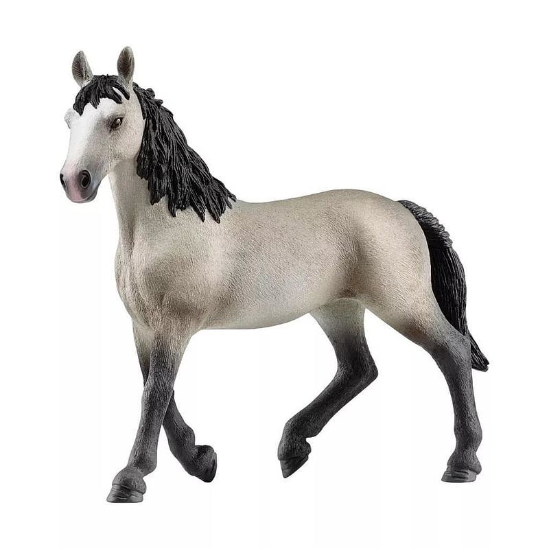 Klacz rasy cheval de selle francais slh13955
