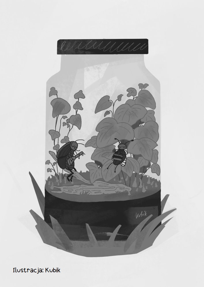 Koktajl Zin - 01 - Robale