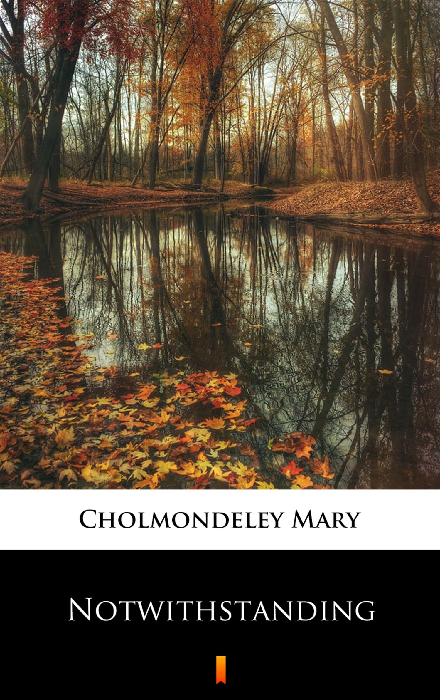 Notwithstanding (e-book)