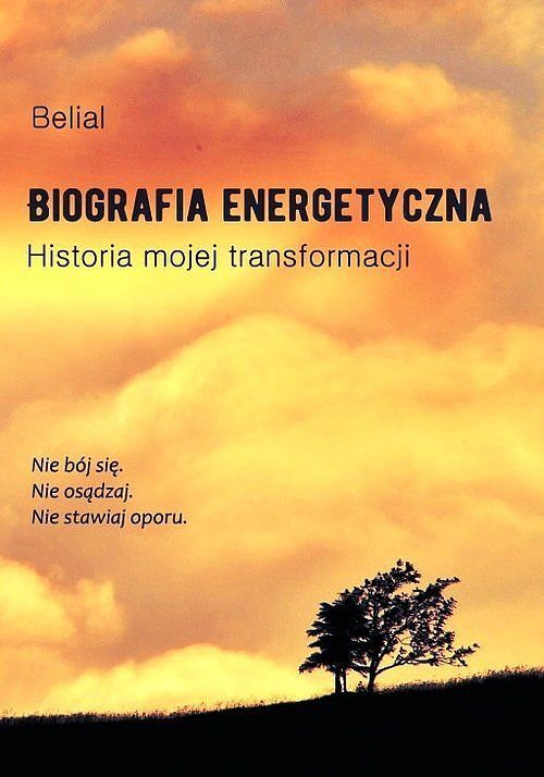 Biografia energetyczna