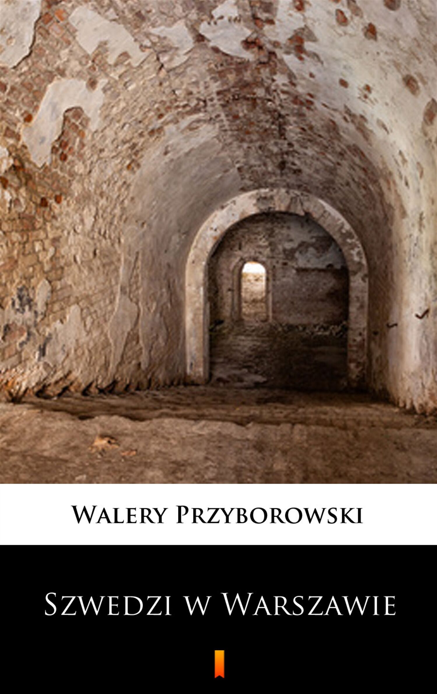 Szwedzi w Warszawie (e-book)